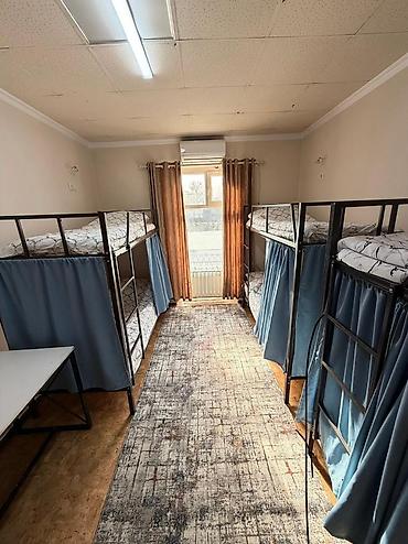 Аренда отелей и хостелов: Халал-хостел — удобные койко-места в общих комнатах с двухъярусными — 5