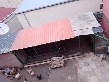Həyət evləri və villaların satışı: 6 otaqlı, 260 kv. m, Kredit var, Yeni təmirli — 11