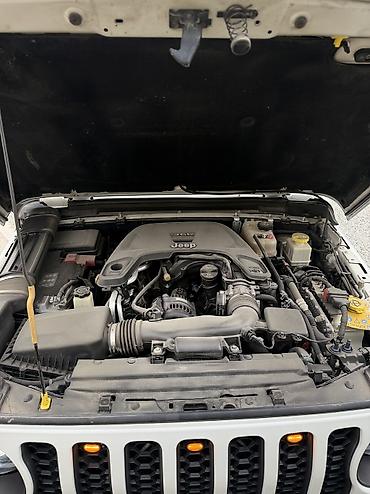 сетка военная: Jeep Gladiator: 2020 г., 3.6 л, Автомат, Бензин, Пикап — 9