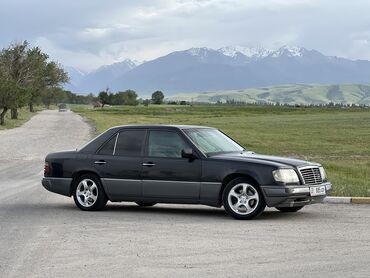 Mercedes-Benz: Mercedes-Benz E-Class: 1993 г., 2.2 л, Механика, Бензин, Седан