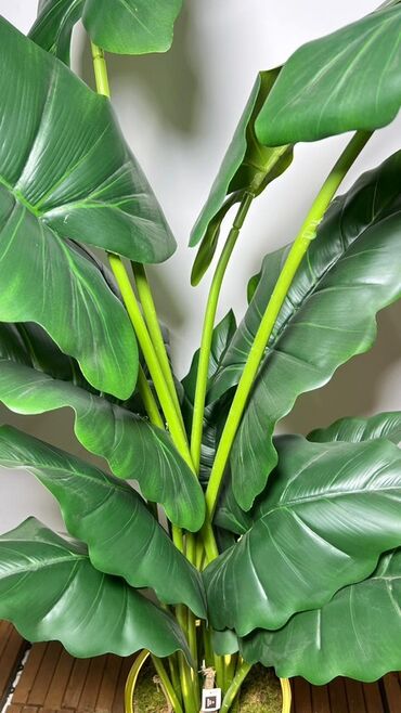 Süni güllər: Dekorativ süni ağaclar dəsti - Model 1: Varlıqlı yarpaqlı dekorativ — 9