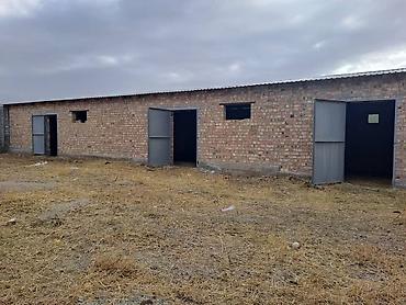 Продажа коттеджей и домов: Продаю дом -ферму с участком в 10 соток, в селе Каирма между Арчалы и — 4