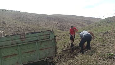 Услуги портера: Заказать Самосвал, Доставка щебня, угля, песка, чернозема, отсев — 14