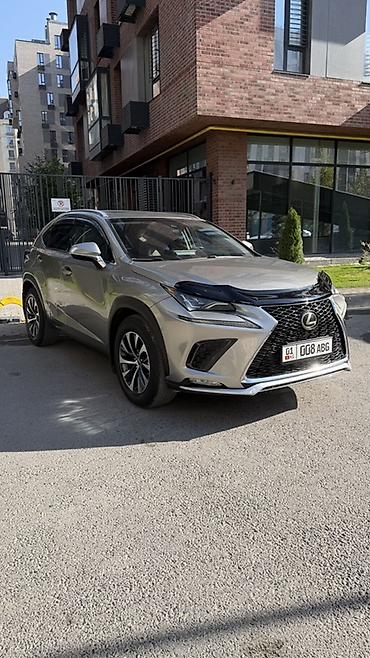 lexus nx: Lexus NX: 2019 г., 0.2 л, Автомат, Бензин, Кроссовер — 4