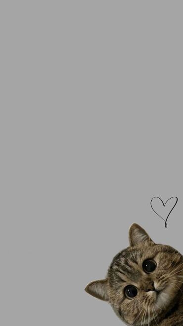 онлайн работа без опыта для студентов: Официант. Без опыта at lalafo.kg онлайн работа без опыта для студентов: Официант. Без опыта