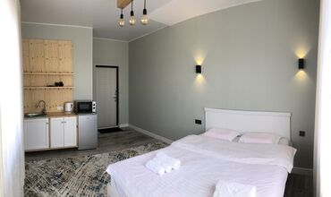 Посуточная аренда квартир: В г Каракол Посуточные квартиры Апартаменты . Студийные комнаты — 29