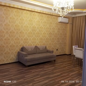 Otaq bitkiləri: TV altlığı