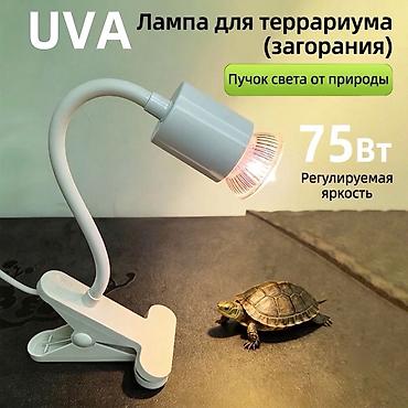 фитолампа: UVA-лампа для террариума с прищепкой Цена: 800сом - Назначение — 2