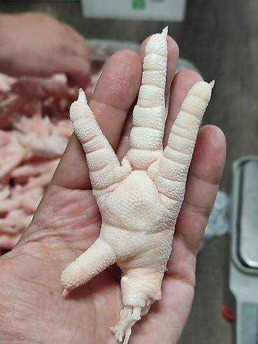 инкубатор золушка: 🐔 Замороженные куриные лапы категории A+ Средний вес одной лапы: 35 г — 5