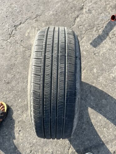 Другой транспорт: Шина Nexen 205 / 55 / R 16