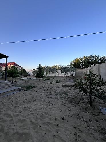 badamdarda satilan villalar: Bağ -11,3 sot sərin tərəf dəniz yaninda 5 dəq maşinan ev əla — 10