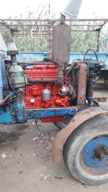 turbo az traktor belarus 82 xacmaz: Traktor Belarus (MTZ) EMTEZE 80, 1990 il, 150 at gücü, motor 2.2 l, Yeni