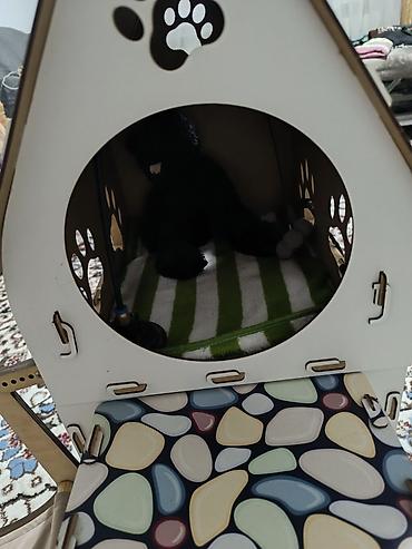 ак мышык: Продаю домик для кошечки или котят! Лежанка которую можно закрепить на — 5