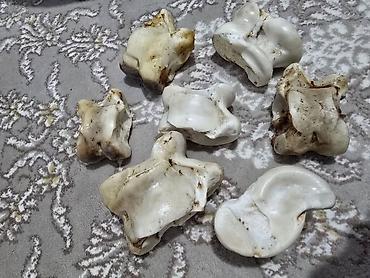 Декоративные фигуры, Платная доставка