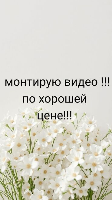 тариф окуучу: Монтирую видео !! по хорошей цене!! 1 видео от 250 сом смотря по