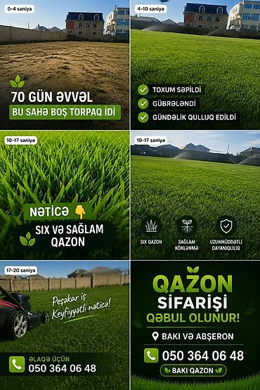 tam insaat: Təbii hazır qazon – həyətinizi bir neçə saata yaşıl cənnətə çevirən — 2