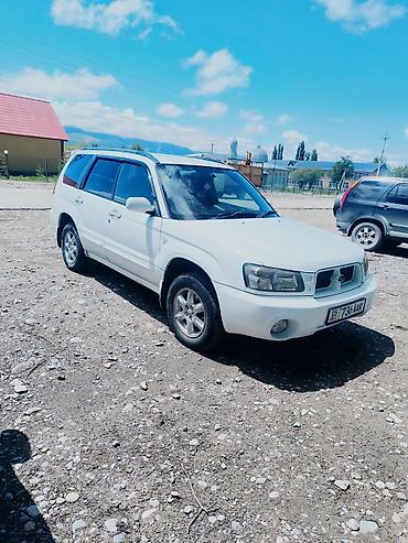 forester 2022: Subaru Forester: 2002 г., 2 л, Автомат, Бензин, Универсал — 2