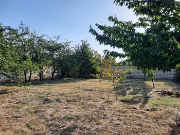 Daraq panellər: Quba, 80 kv. m, 3 otaqlı, Hovuzsuz, Kombi, Qaz, İşıq