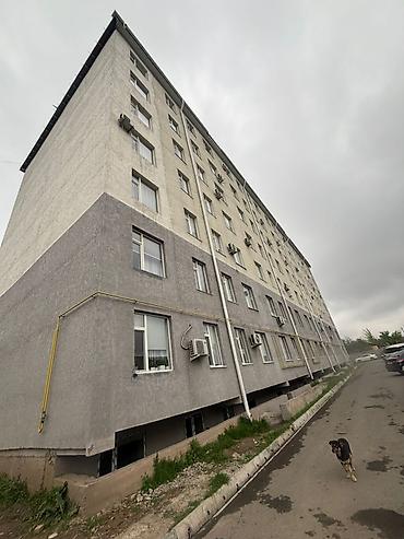 Продажа салонов красоты и кабинетов: Барбершоп 65 м², 2 комнаты at lalafo.kg — 5 Продажа салонов красоты и кабинетов: Барбершоп 65 м², 2 комнаты — 5