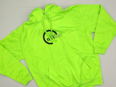 bluza wojan team allegro: Hoodie for men, L (EU 40), Just Hoods, condition - Very good