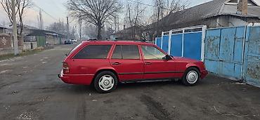 Mercedes-Benz: Mercedes-Benz W124: 1989 г., 2.3 л, Механика, Бензин, Универсал — 1