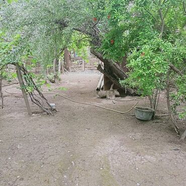 Həyət evləri və villaların satışı: 7 otaqlı, 150 kv. m, Kredit yoxdur, Orta təmir — 29