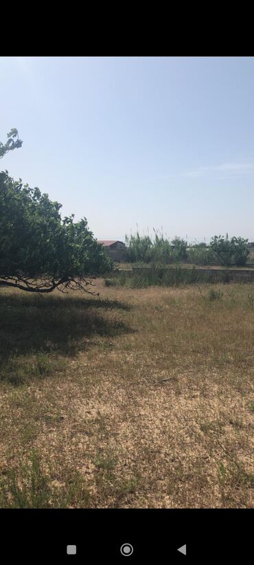 Torpaq sahələrinin satışı: Tikinti, Mülkiyyətçi, Kupça (Çıxarış)