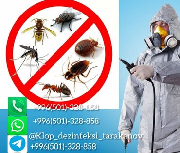 химчистка токмок: Дезинфекция от клопов! Избавим ваш дом от клопов быстро и надолго!