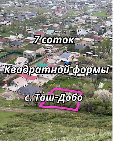 участок токбай кызылтуу: 7 соток, Красная книга — 1
