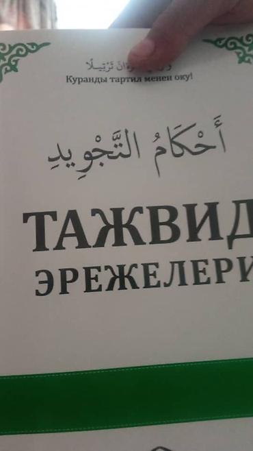 карликовые кошки цена: Котята – домашние, ласковые и игривые. В помете два окраса: - голубые — 6
