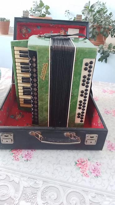 İdman və hobbi: Akustik Akkordeon, İşlənmiş — 4