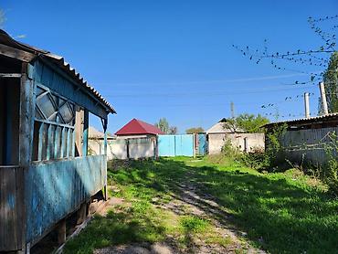 Продажа коттеджей и домов: Продаю участок (с домом, возможно под снос) 20лет никто не жил и есть — 8