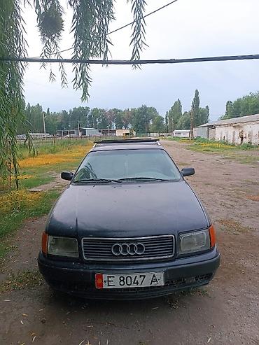range over: Audi 100: 1995 г., 2.3 л, Механика, Бензин, Универсал — 1