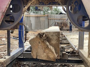 Спил деревьев, заготовка дров: Пилорама. Кочмо пилорама,бак тилгич,передвижной пилорама — 9