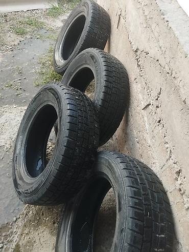 резина на питбайк: Комплект зимних шин Dunlop Winter Maxx 01 - Размер: 195/65 R15 - — 1