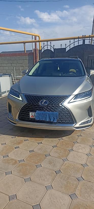 e6 3: Lexus RX: 2019 г., Гибрид, Кроссовер — 1