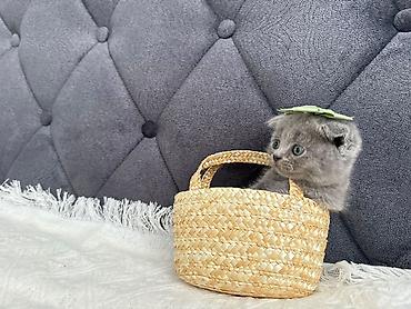 hello kitty oyuncaq: Unicorn mövzulu hədiyyəlik kancevarya səbəti - Şirin unicorn və — 7