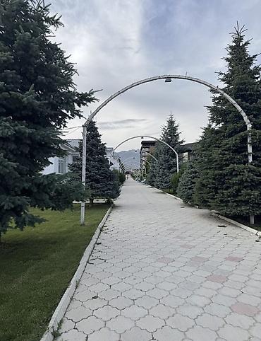 studio apartment: 2 комнаты, 56 м², Элитка, 4 этаж, ПСО (под самоотделку) — 2