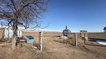 Продажа участков: 80 соток, Для сельского хозяйства — 6