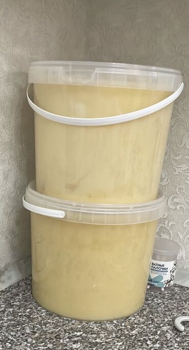 Мёд: Горно Алтайский мёд 1 кг 500 сом
