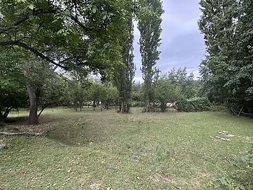 tap az sirvan: 28 sot, Biznes üçün, Mülkiyyətçi, Kupça (Çıxarış) — 8