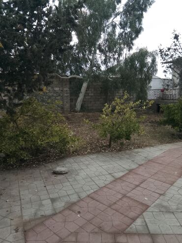 Uzunmüddətli kirayə mənzillər: Sibrizə yaxin məsafə ana yola 250 metrdir.Təmiz və sakit məkan Pirsagi -da lalafo.az — 9 Uzunmüddətli kirayə mənzillər: Sibrizə yaxin məsafə ana yola 250 metrdir.Təmiz və sakit məkan Pirsagi — 9