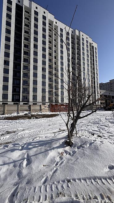 Продажа квартир: 3 комнаты, 96 м², Элитка, 3 этаж, Евроремонт — 4