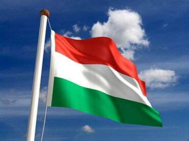 Obuka i kursevi: Online casovi madjarskog jezika. Diplomirani hungarolog sa decenijskim