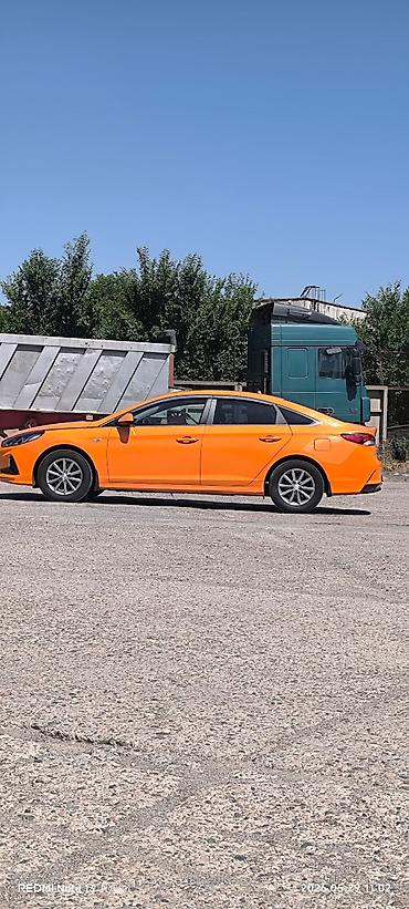 golf venta: Hyundai Sonata: 2019 г., 2 л, Автомат, Газ, Седан — 6