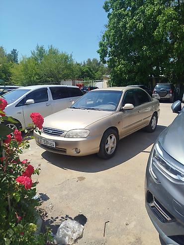 кия сефия: Kia Spectra: 2010 г., Механика, Бензин, Седан — 3
