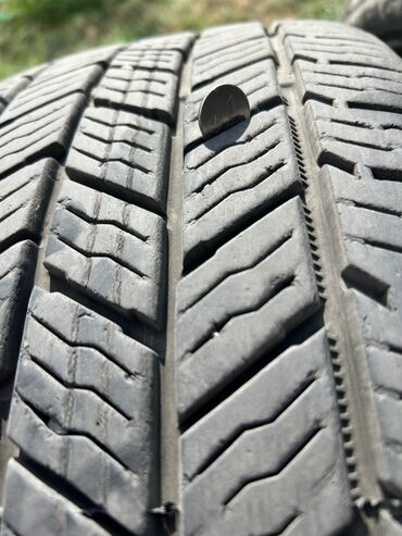 донголок жаны: Шиналар 245 / 55 / R 19, Жай, Колдонулган, Жеңил унаалар, Continental