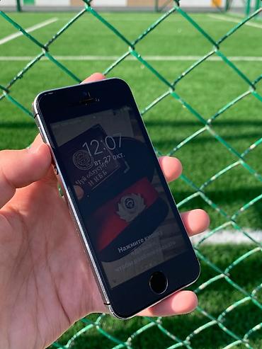 запчасти на айфон 5s: IPhone 5s, Б/у, 16 ГБ, Jet Black, Чехол, 100 % — 1