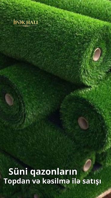 🌿 Hər fəsildə yaşıl görünən məkanlar üçün ideal seçim! Süni at lalafo.az — 1 🌿 Hər fəsildə yaşıl görünən məkanlar üçün ideal seçim! Süni — 1