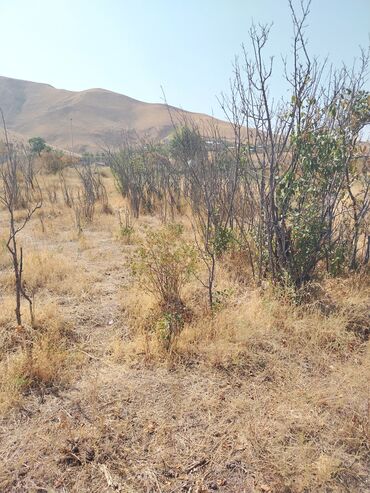 Продажа участков: 5 соток, Для строительства, Красная книга, Договор купли-продажи — 7